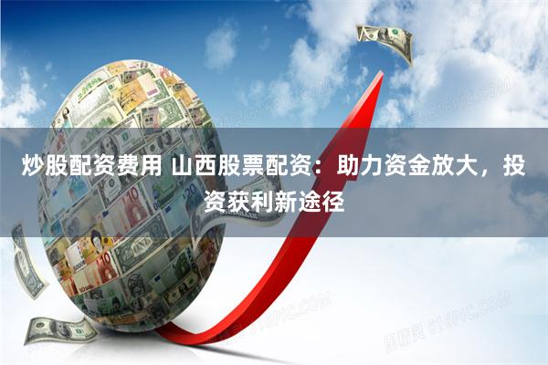 杠杆游戏新视角：2023配资股票全景解码与风险迷宫突围指南